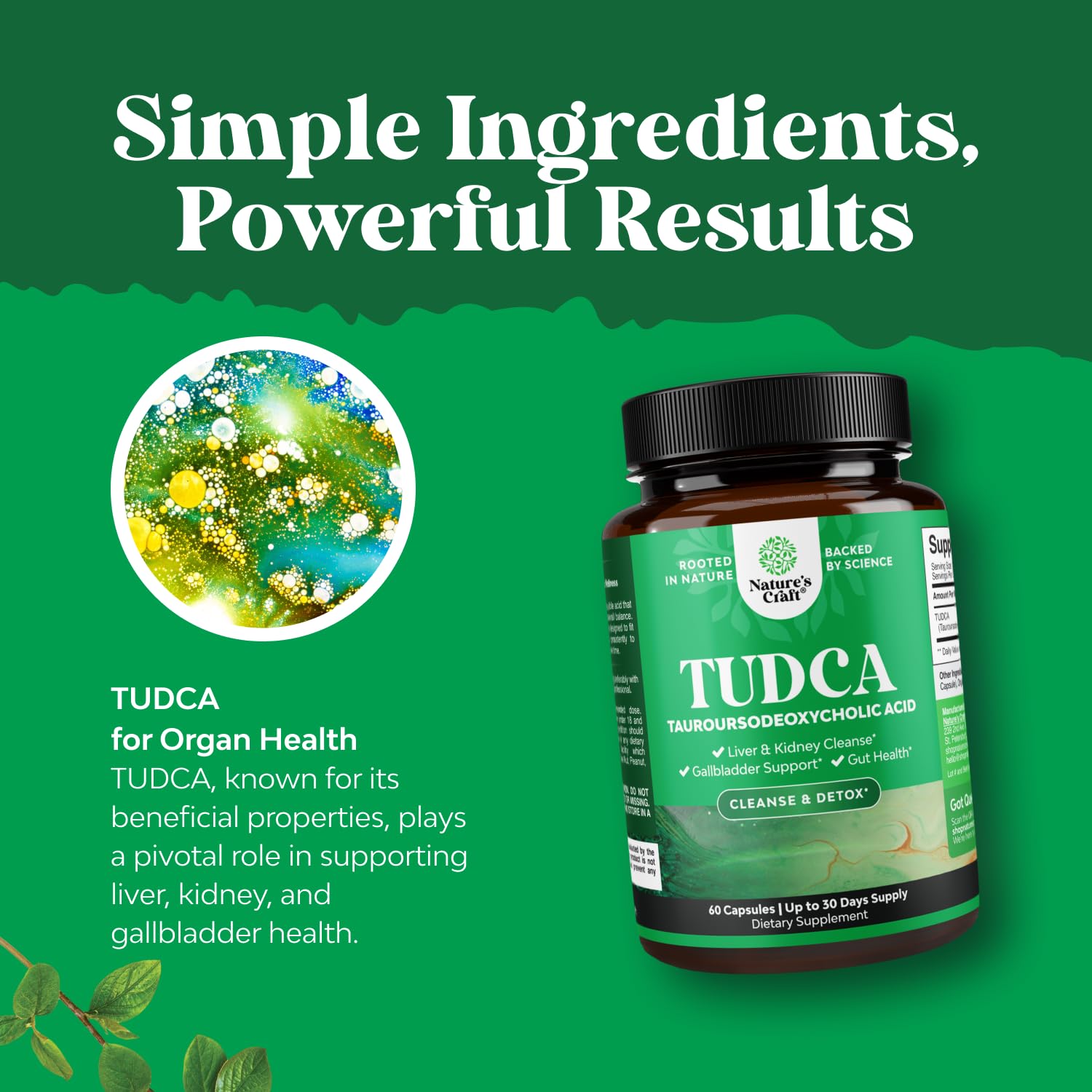 Natures Craft TUDCA in daily routine scene suggesting energy and gut health benefits