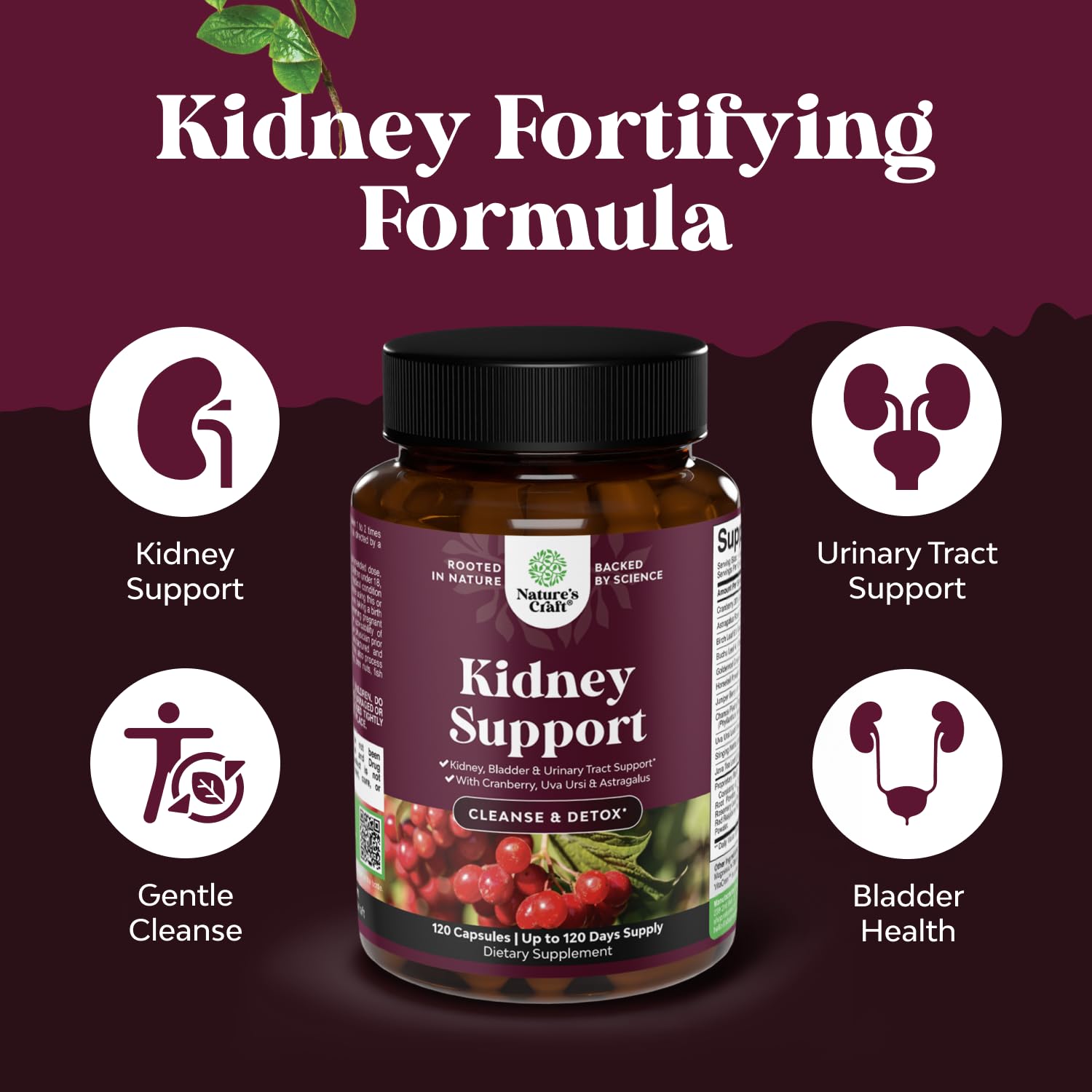 Natures Craft uva-ursi capsules demonstrate a natural urinary balance aid.