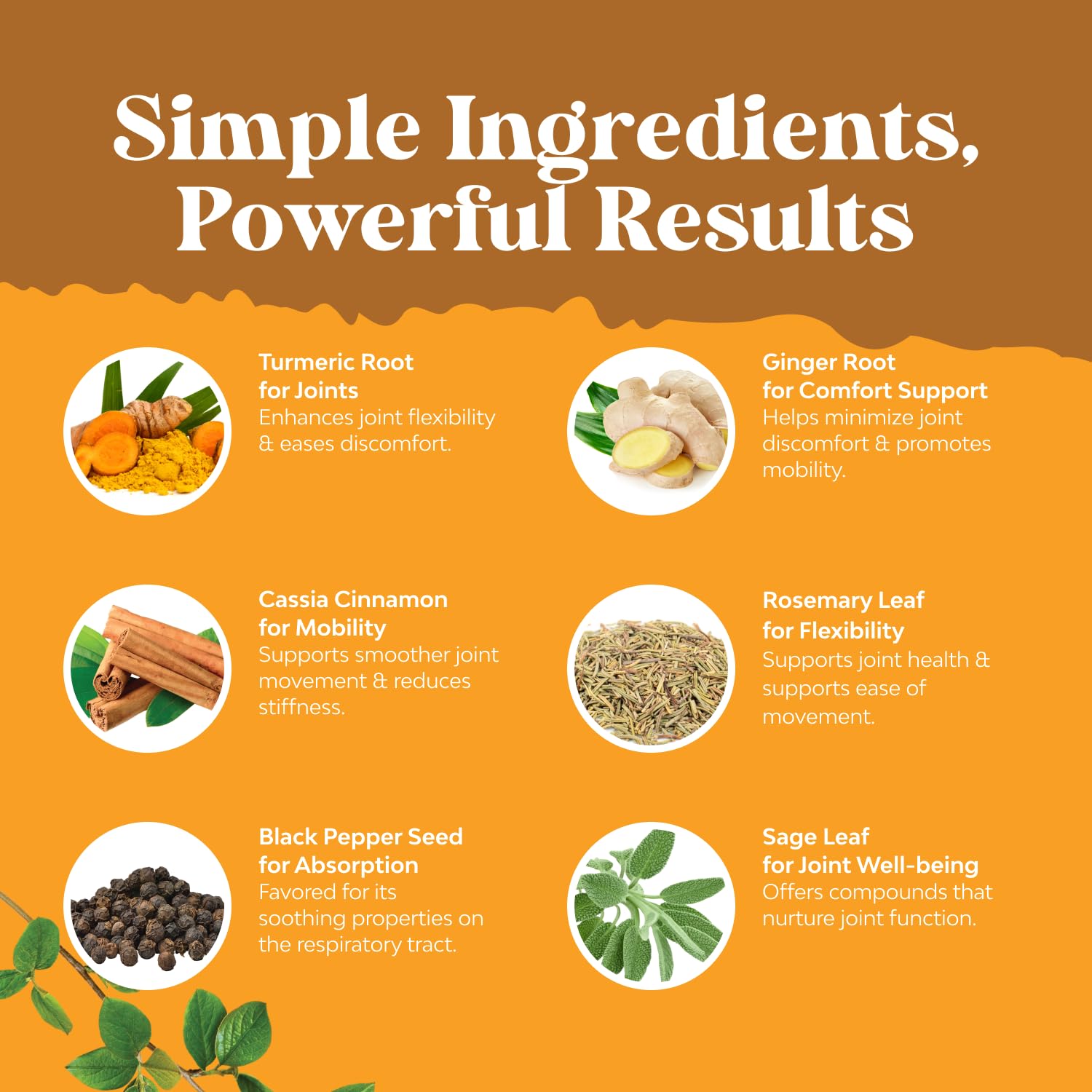Natures Craft organic turmeric drops beside herbal leaves to emphasize purity.