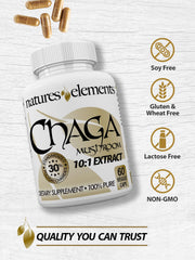 Infographic highlight 10:1 extract and 30% polysaccharides in Natures Elements Chaga.