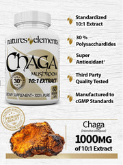 Bottles aligned to show 3 month supply of Chaga capsules.
