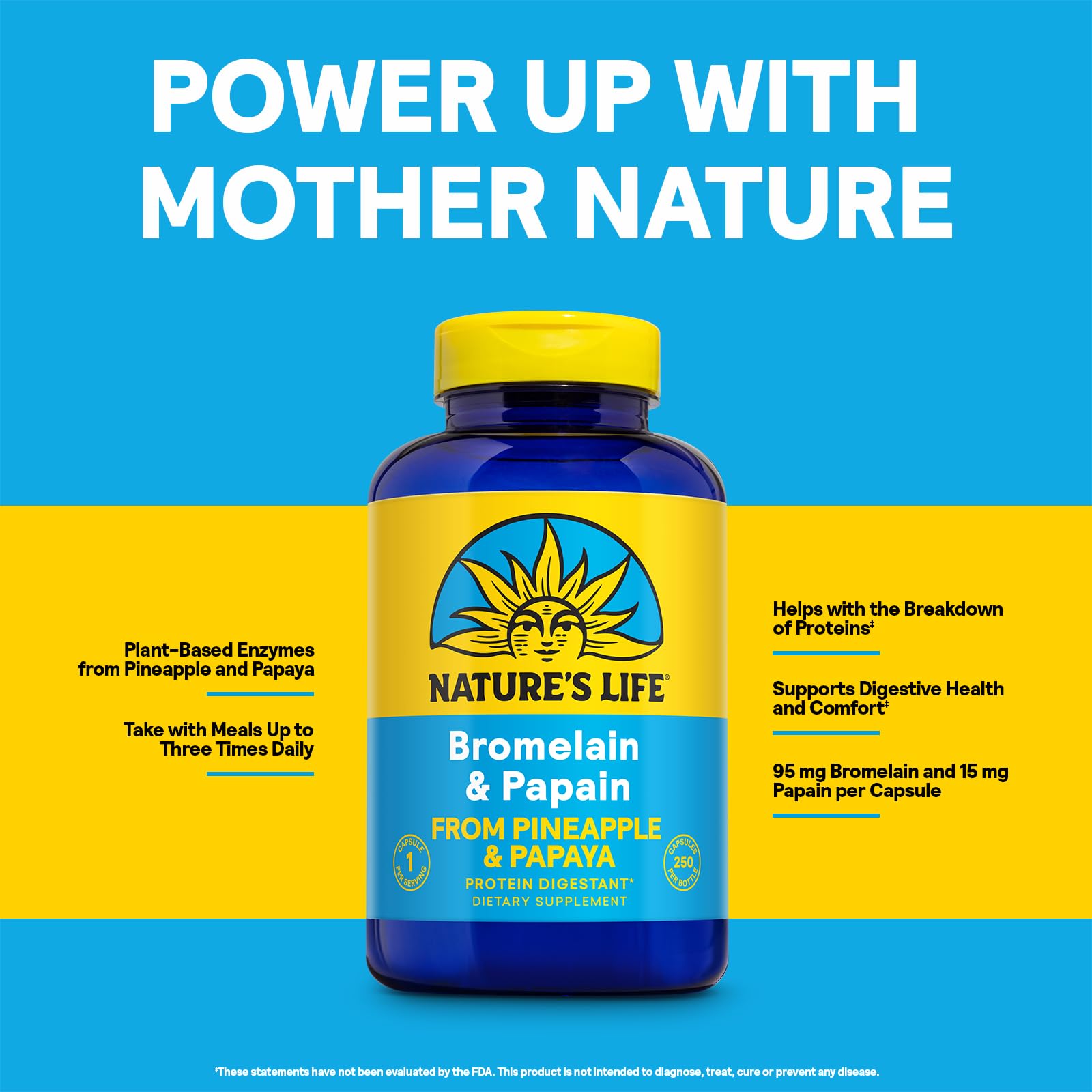 Close-up of pineapple and papaya enzyme sources powering digestion