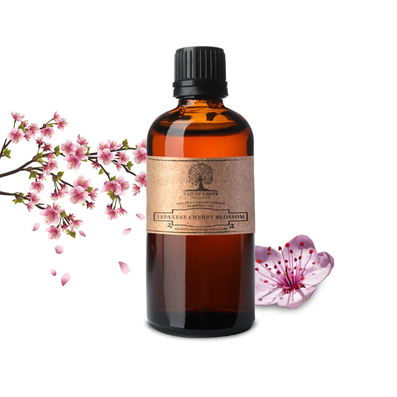 Nature's Note Japanese Cherry Blossom bottle for diffusing a serene floral aroma.