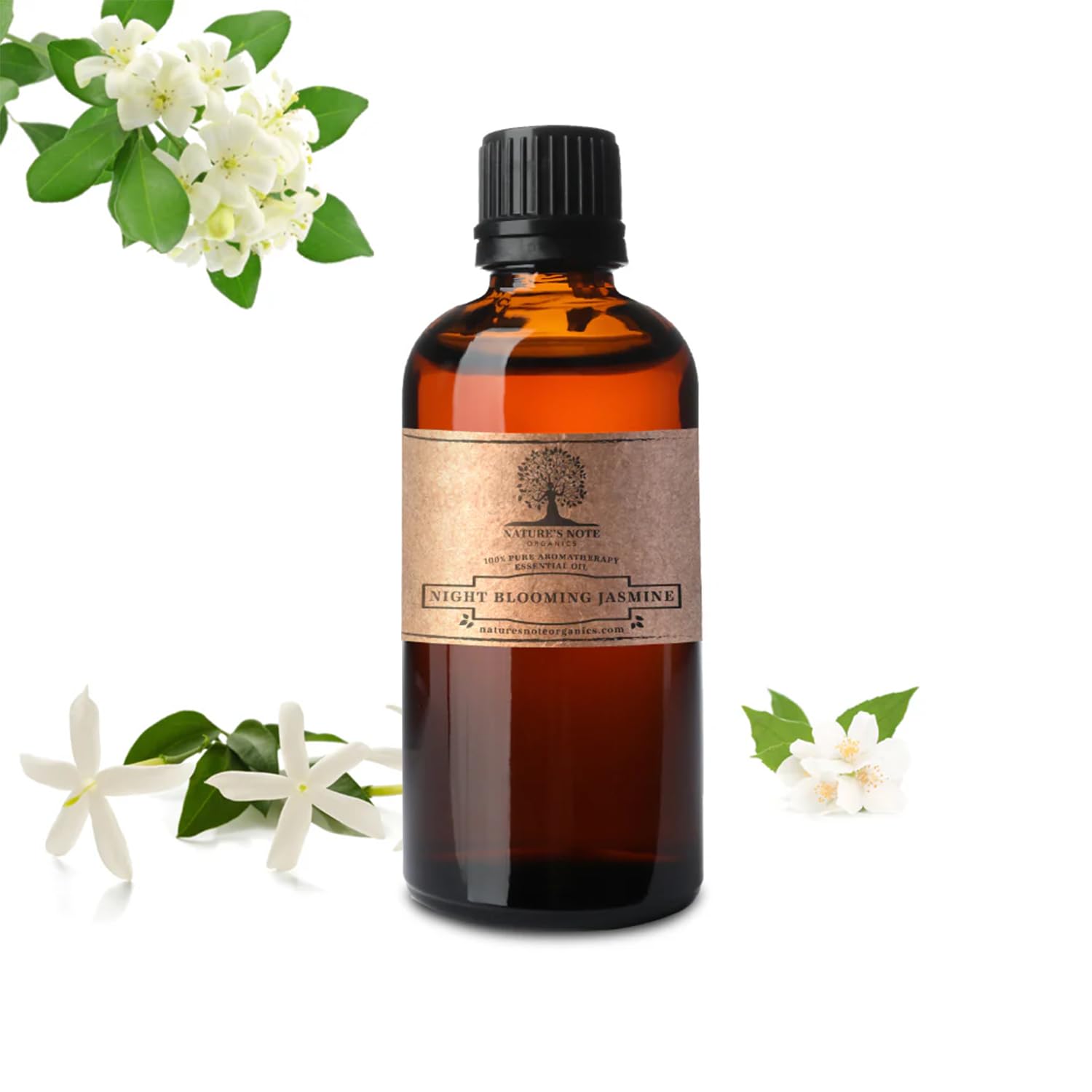 Nature's Note Night Blooming Jasmine oil bottle close-up for premium aroma