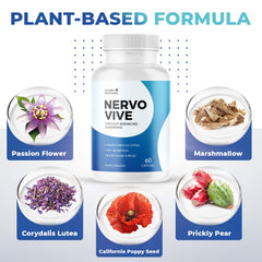 Nervovive passion flower illustration underscores calming, plant-based support