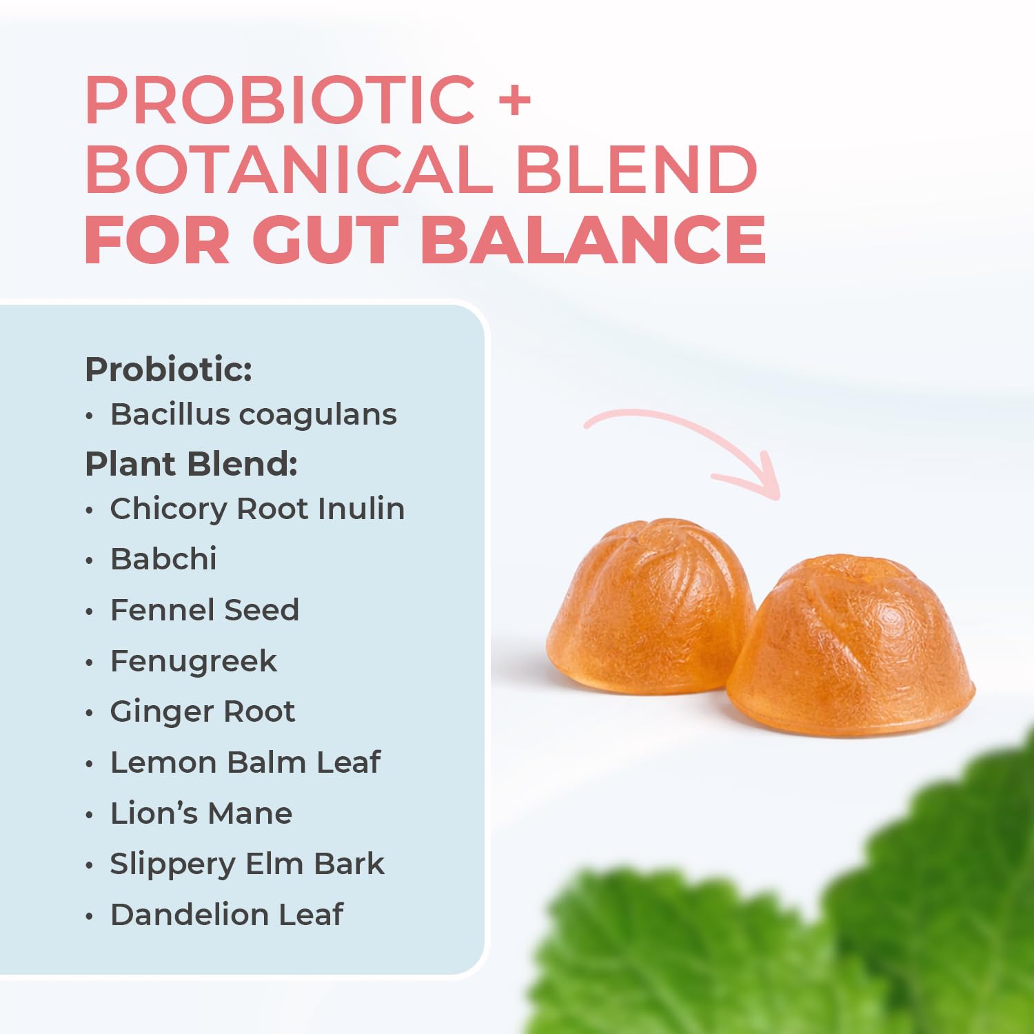Gummies shown with a glass of water for daily routine use.