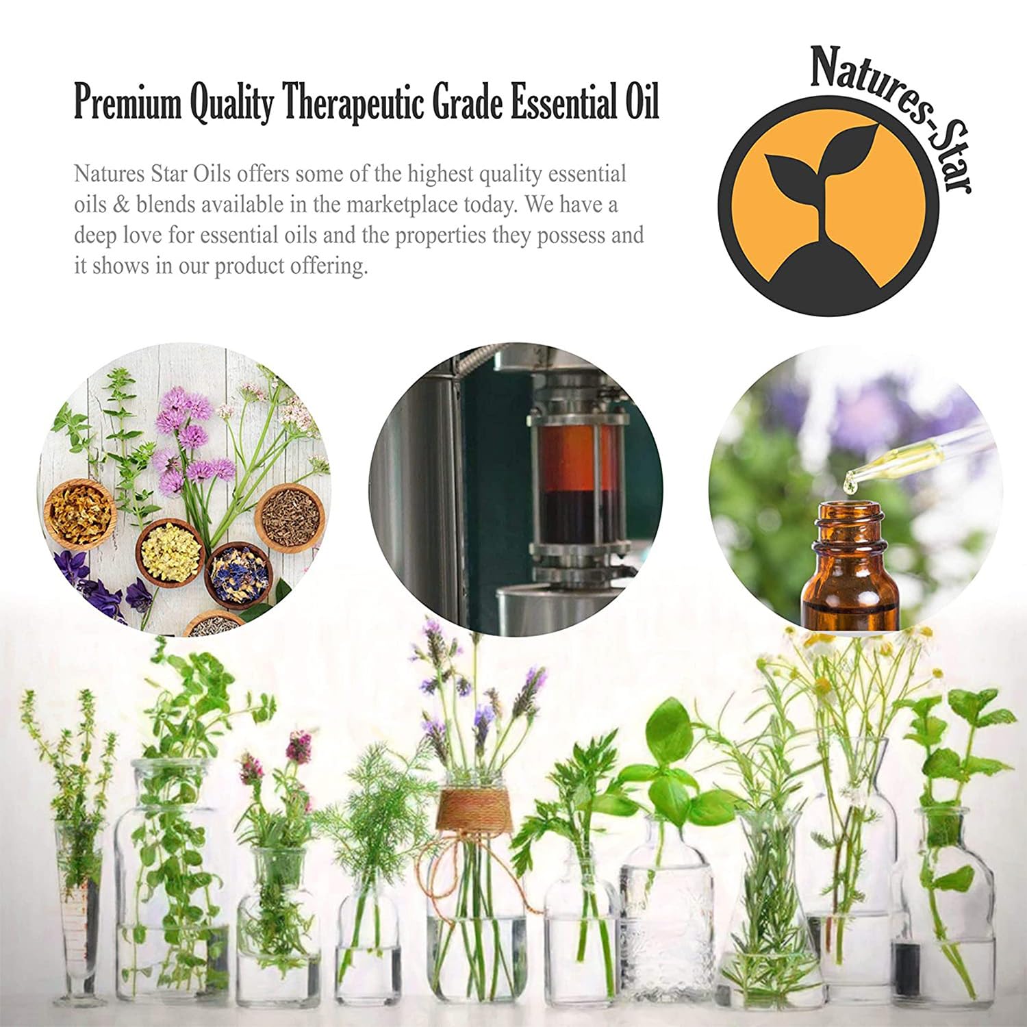 Natures-Star vanilla essential oil diffusing to create a warm, inviting atmosphere.
