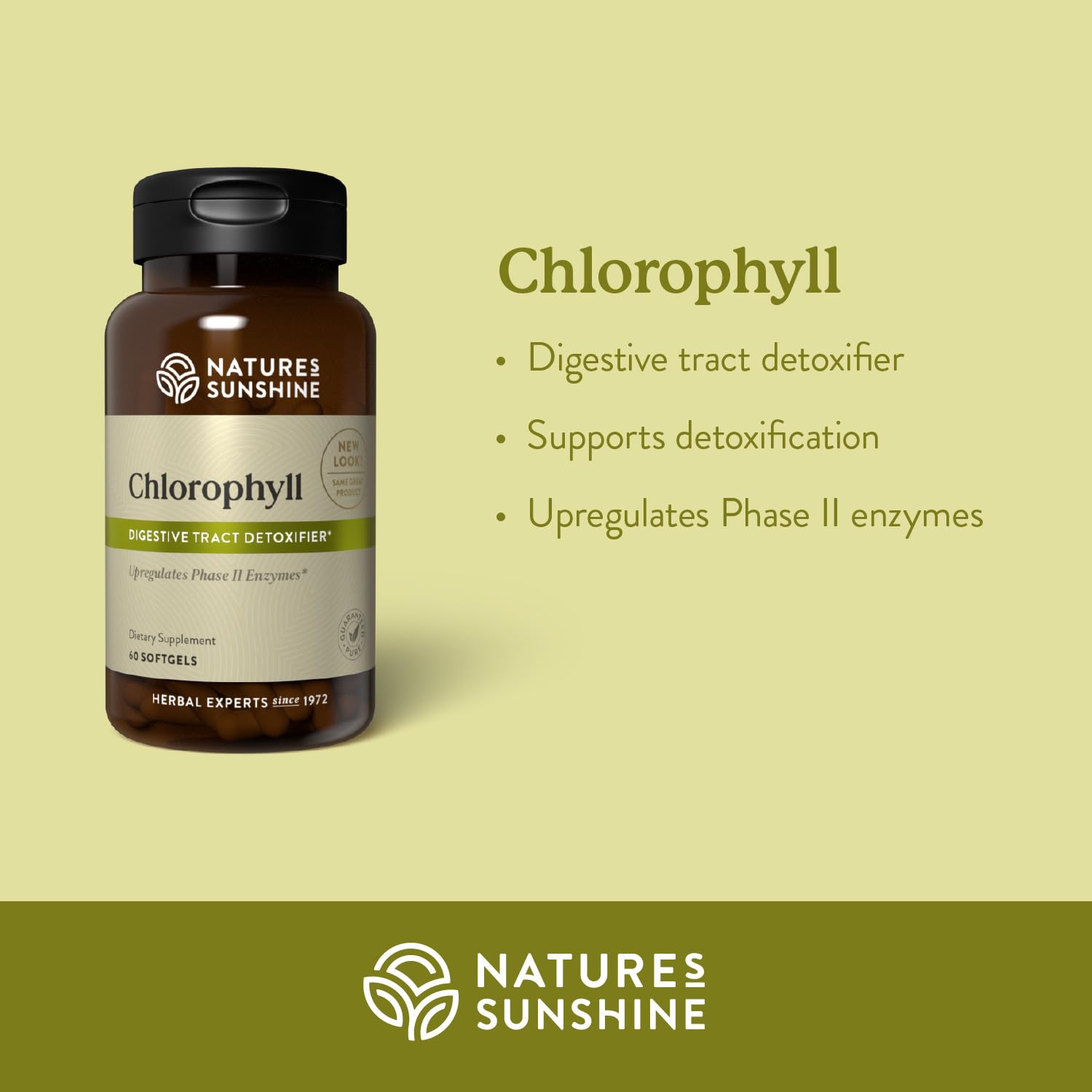 Nature's Sunshine Chlorophyll bottle being poured for a daily routine.