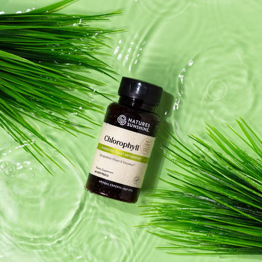 Nature's Sunshine Chlorophyll capsules close-up showing easy-swallow softgels.
