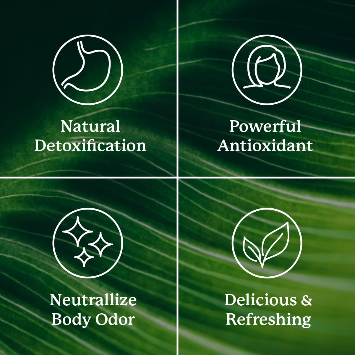 Nature's Sunshine chlorophyll stick provides prebiotic fiber for digestive ease.