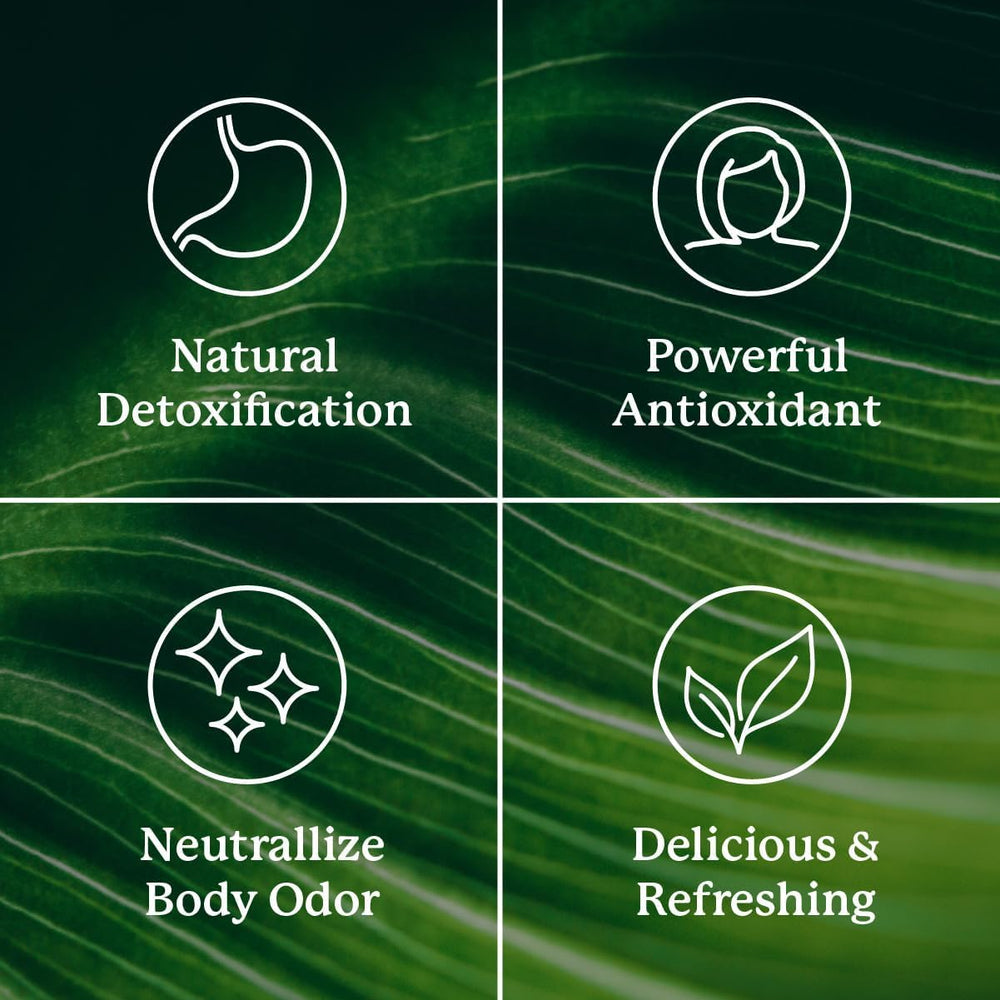 Nature's Sunshine chlorophyll stick provides prebiotic fiber for digestive ease.