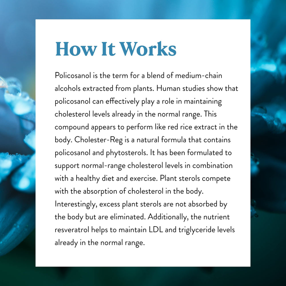 Nature's Sunshine Cholester-Reg II capsules in hand for daily use.