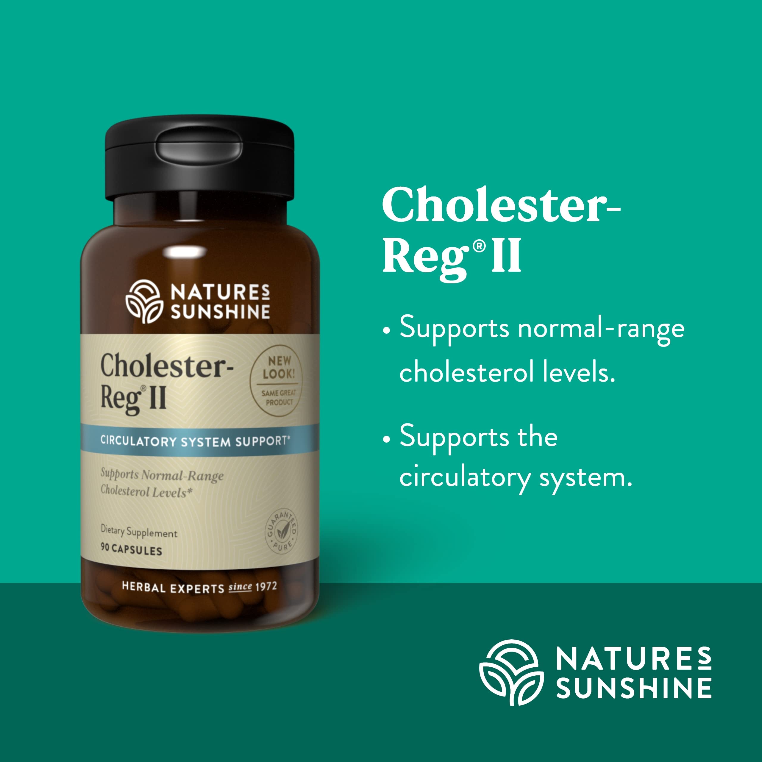 Nature's Sunshine Cholester-Reg II label detail highlighting herbal formulation.