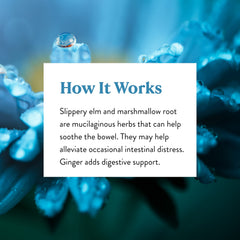 Nature's Sunshine CLT-X display notes women's health and circulatory support.