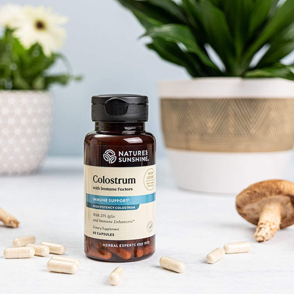 Capsules close-up from Nature's Sunshine Colostrum with Immune Factors for easy dosing