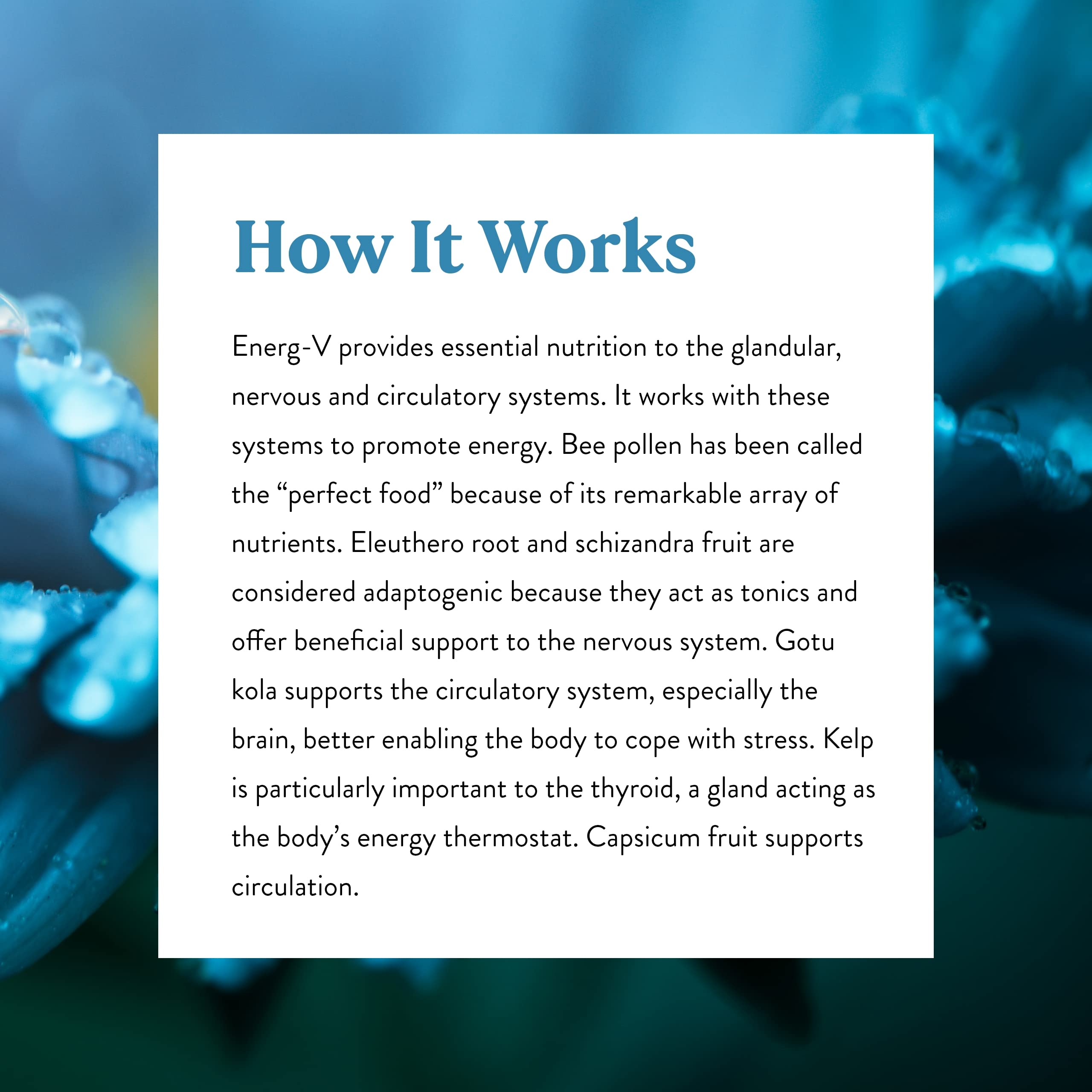Nature's Sunshine Energ-V in-use scene during daytime routines.