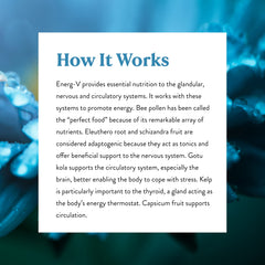 Nature's Sunshine Energ-V in-use scene during daytime routines.