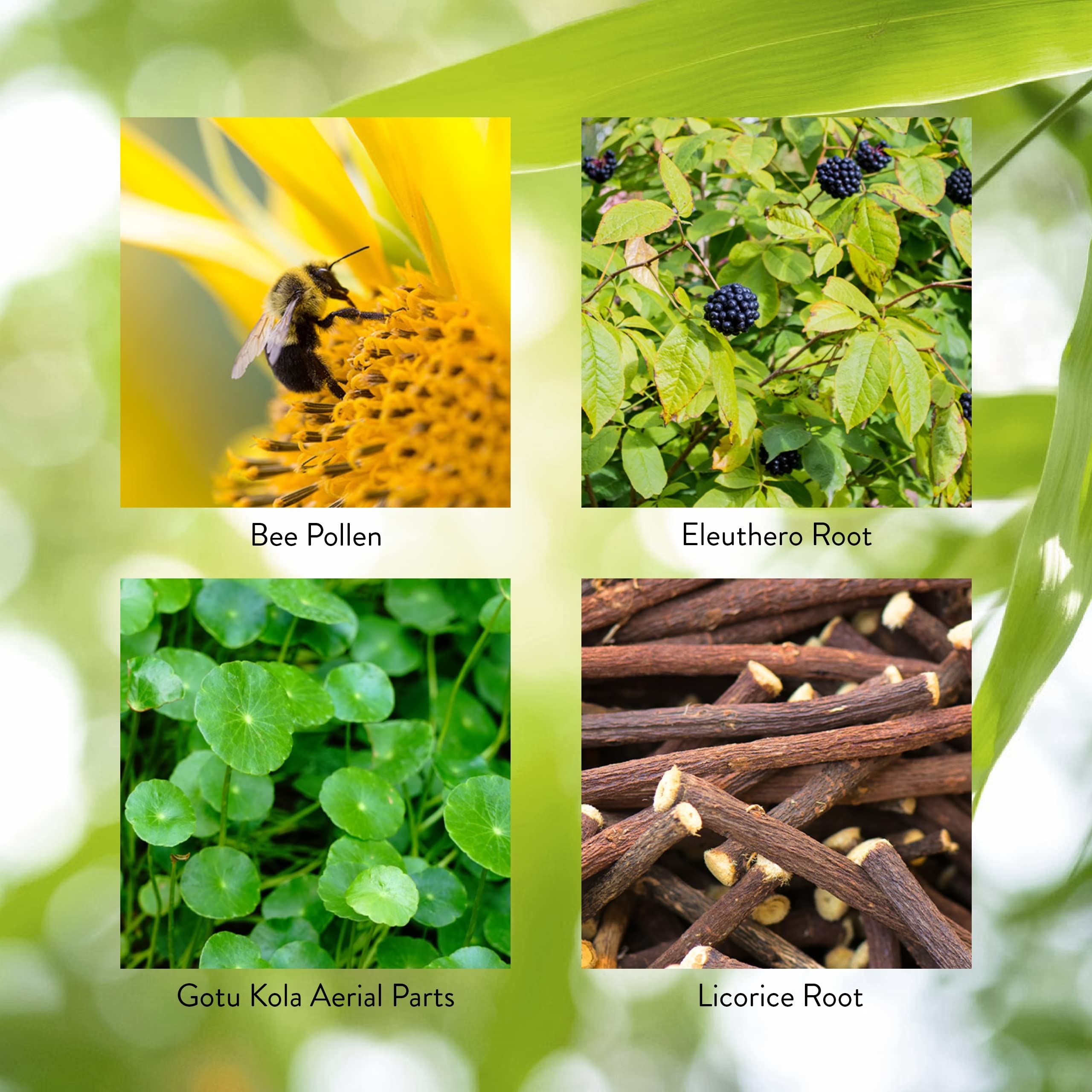 Nature's Sunshine Energ-V packaging display shows product in context.