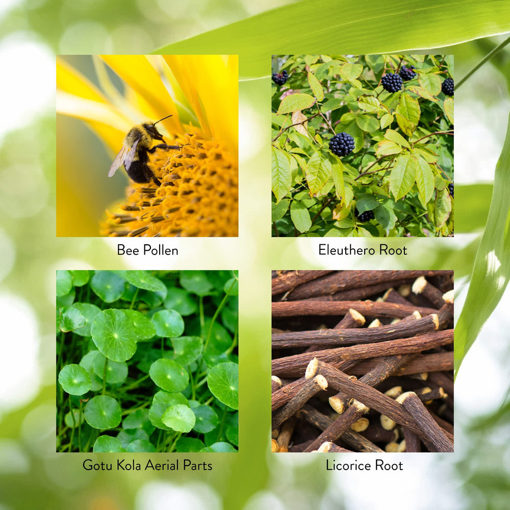 Nature's Sunshine Energ-V packaging display shows product in context.