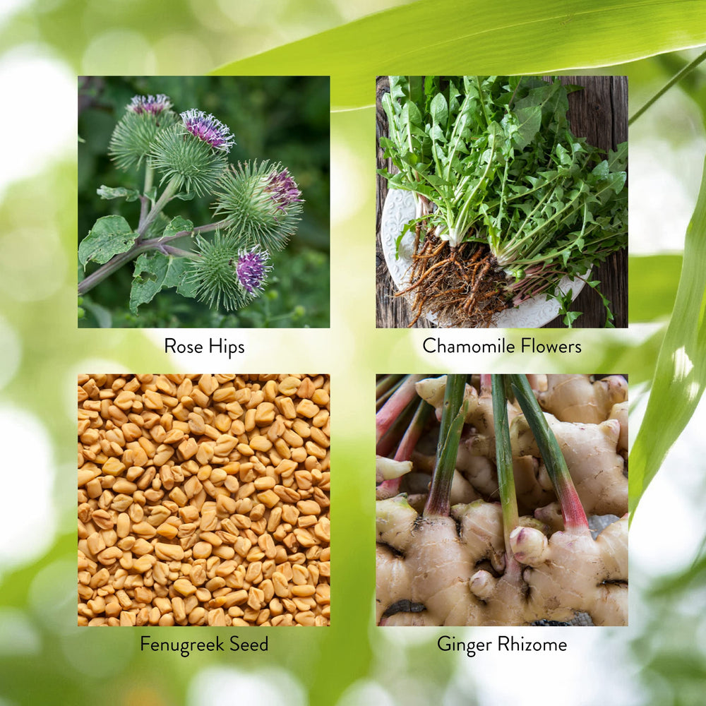 Nature's Sunshine Enviro-Detox herbal ingredients close-up