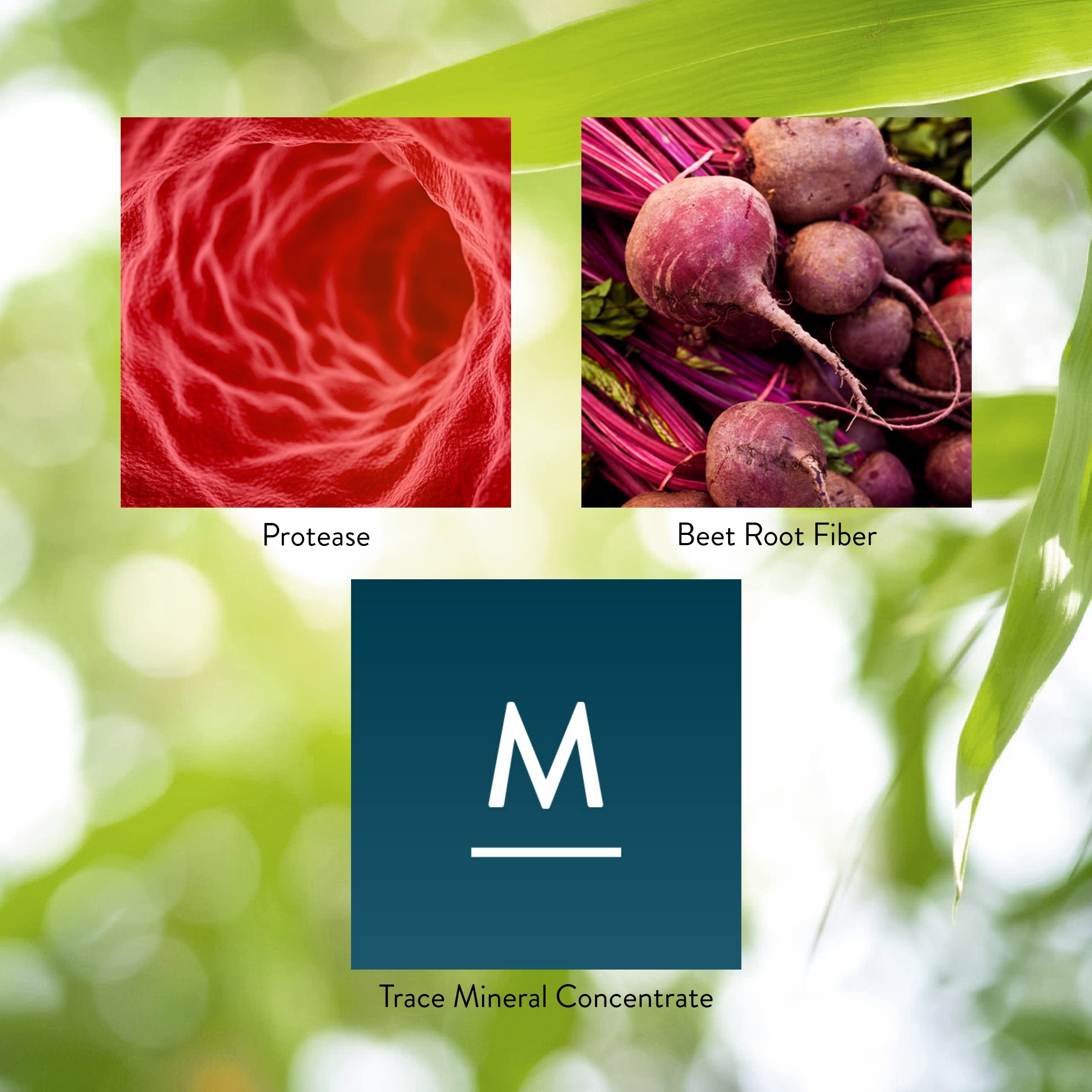 Nature's Sunshine High Potency Protease ingredients graphic shows enzymes and minerals.