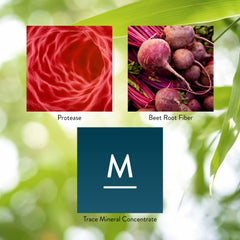 Nature's Sunshine High Potency Protease ingredients graphic shows enzymes and minerals.