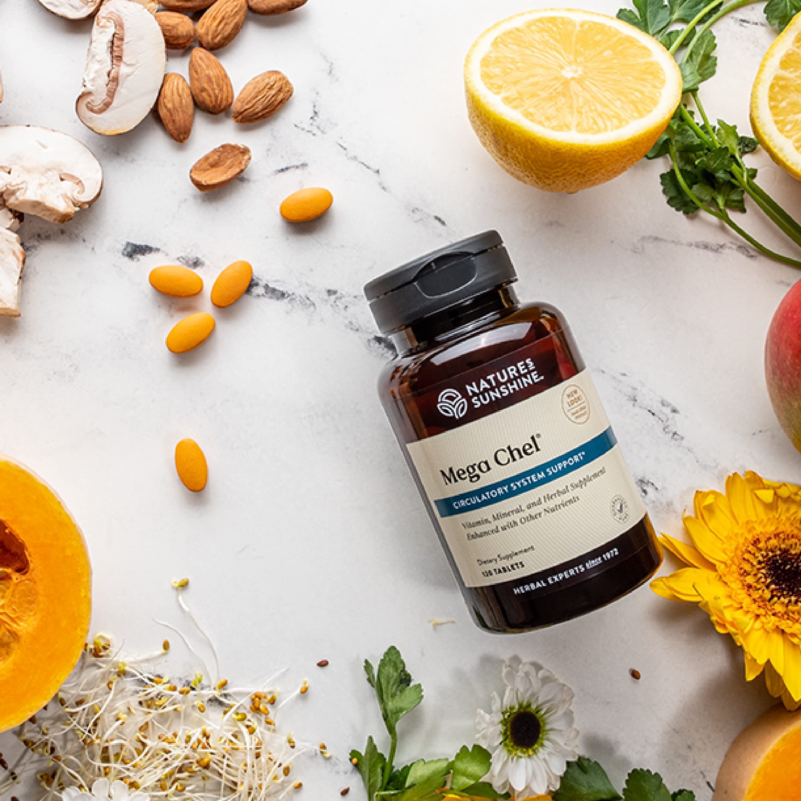 Nature's Sunshine Mega-Chel circulatory illustration suggests support for healthy blood flow.