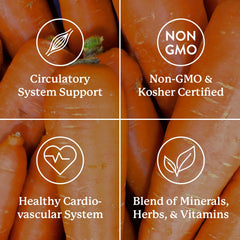 Nature's Sunshine Mega-Chel ingredients panel outlines vitamins, minerals, and herbs for balance.