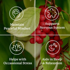 Vitamin panel closeup emphasizes vitamin C and B-complex support