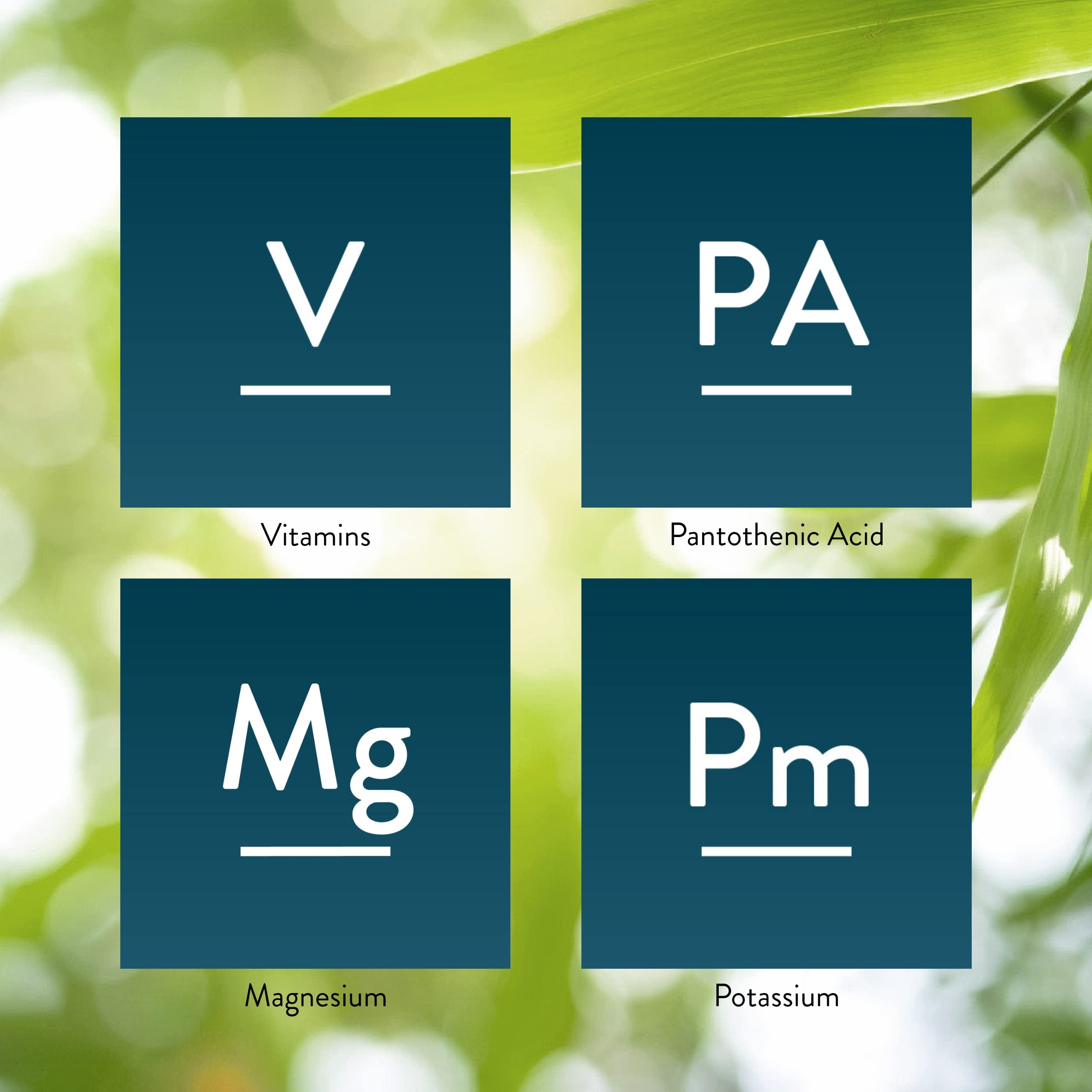Close-up Solstic Revive bottle label highlighting key nutrients.