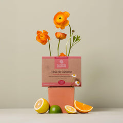 Nature's Sunshine Tiao He Herbal Cleanse box packaging emphasizes detox and traditional herbs.