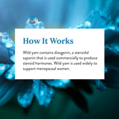 Nature's Sunshine Wild Yam Capsules label close-up highlights the 100-count bottle for use.