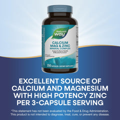 Nature's Way Calcium Magnesium Zinc capsules, easy to swallow for daily use.
