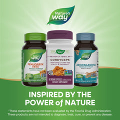 Cordyceps Premium capsule texture close-up for easy ingestion