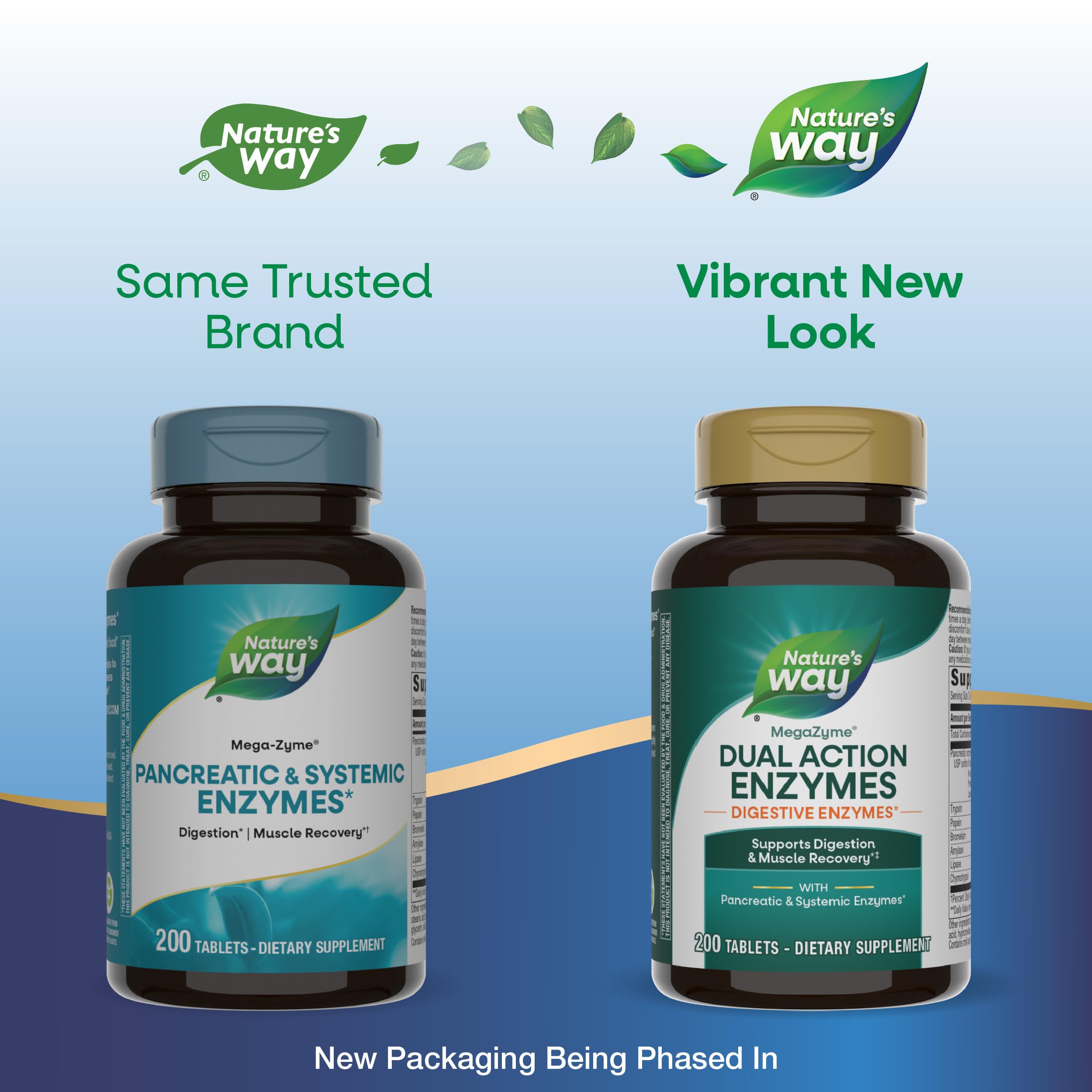 Nature's Way Mega-Zyme tablets close-up highlight pancreatic enzyme support