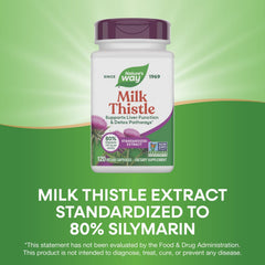 Nature's Way Milk Thistle seed extract close-up emphasizes standardized potency for reliable use.
