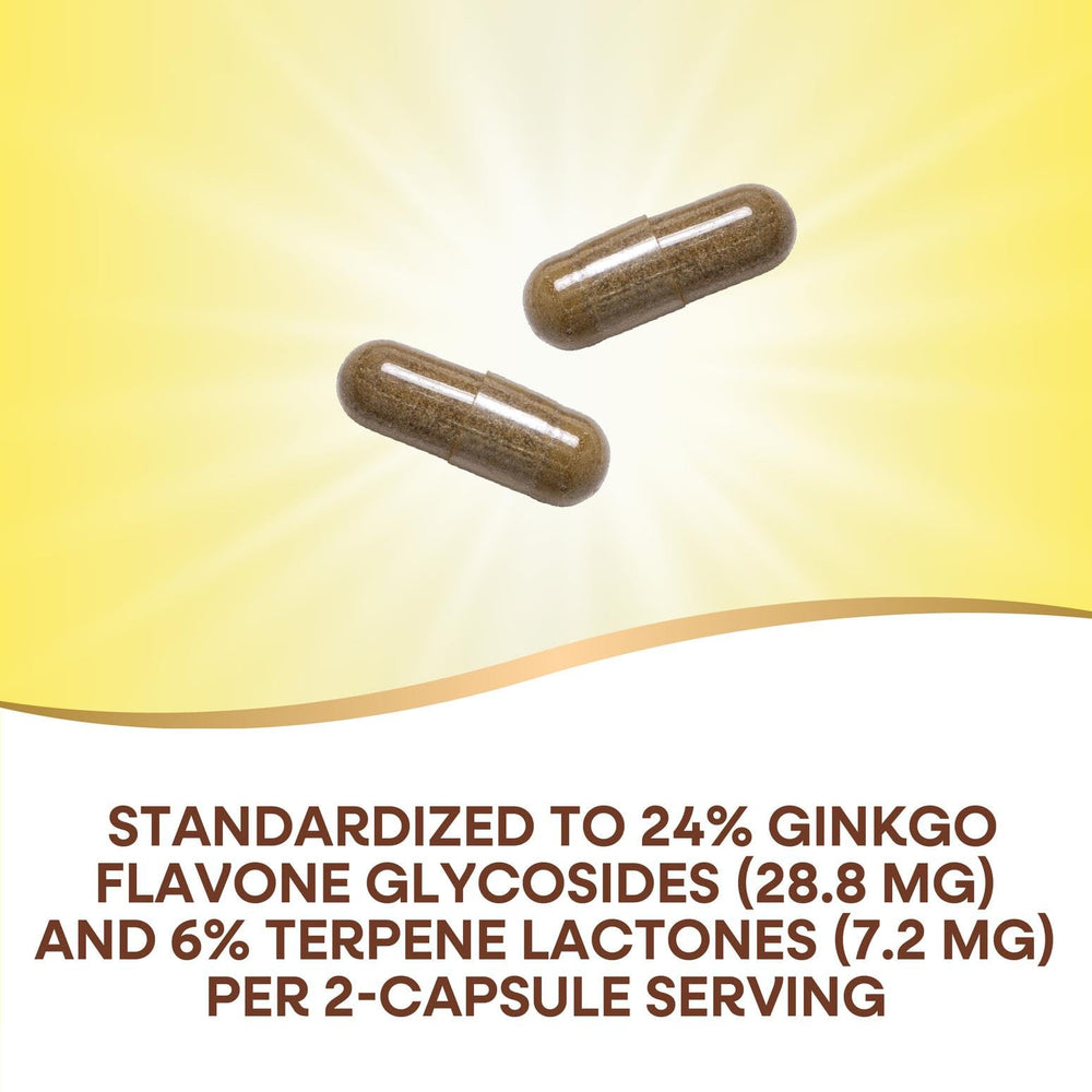 Nature's Way Ginkgo brain health image suggesting focus and circulation support