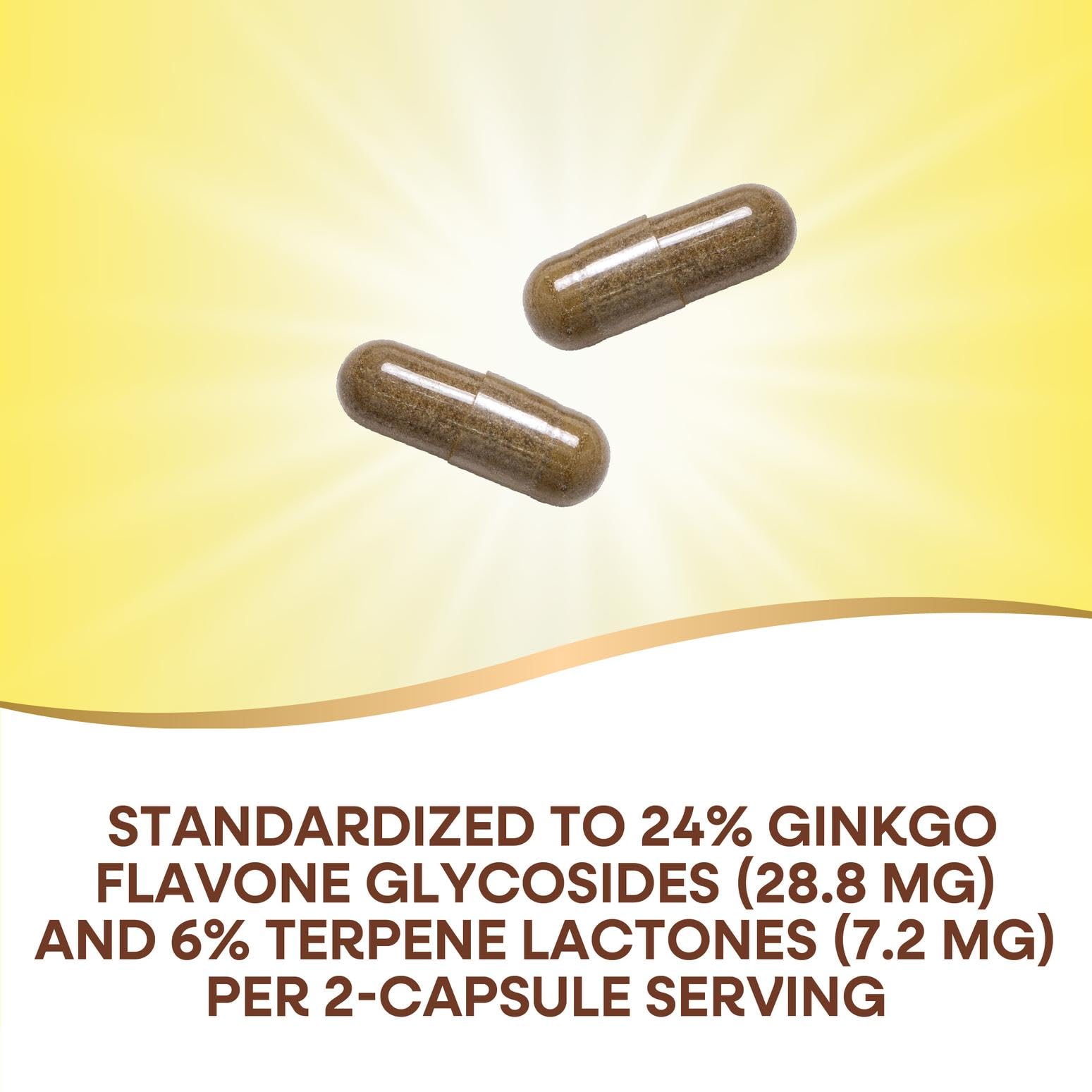 Nature's Way Ginkgo brain health image suggesting focus and circulation support