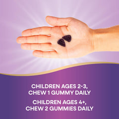 Nature’s Way Sambucus Kids elderberry gummies labeled gluten-free and vegetarian
