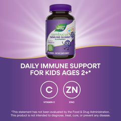 Nature’s Way Sambucus Kids elderberry extract and antioxidant focus