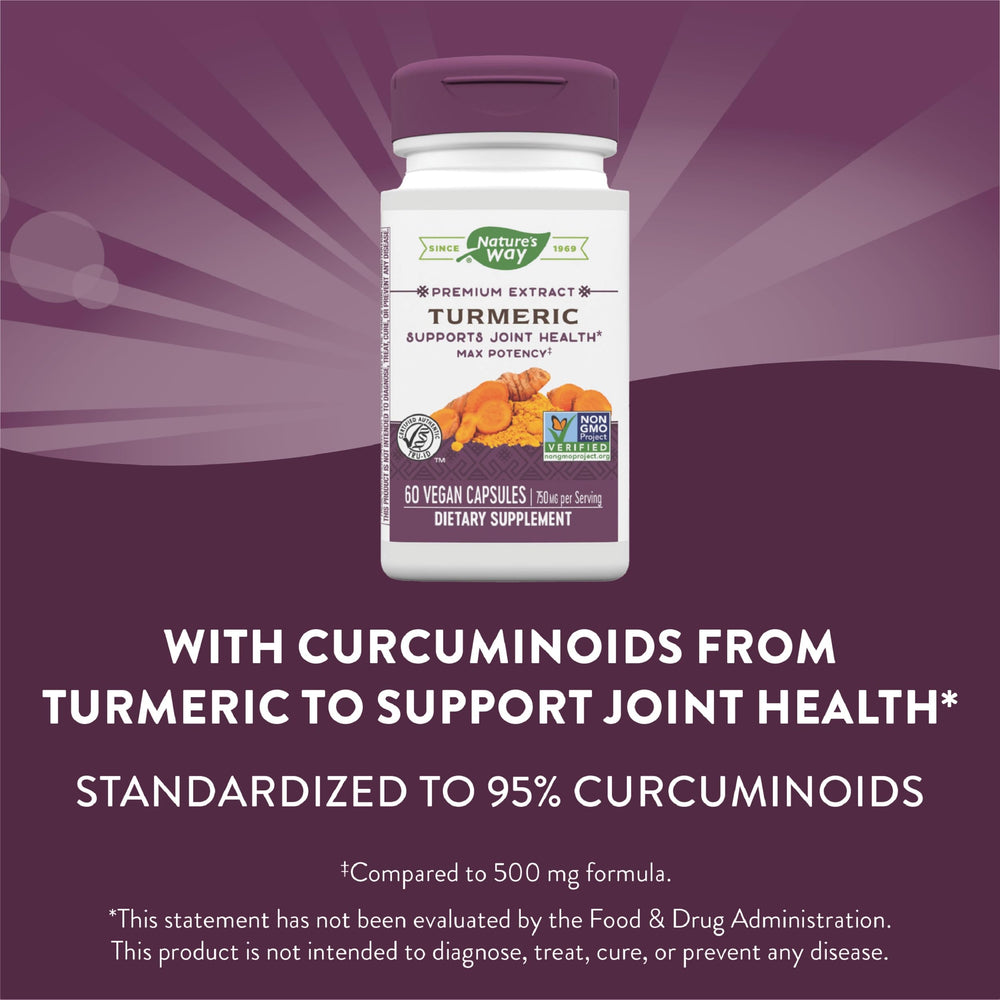 Nature's Way Turmeric Max Potency ingredients overview turmeric extract