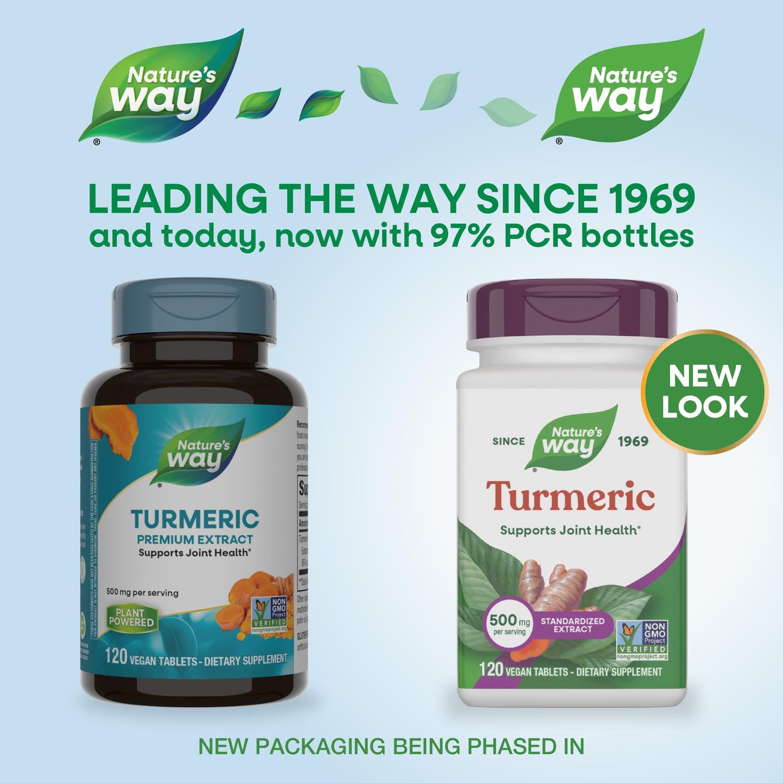 Close-up of Nature's Way turmeric tablets showing 500 mg per serving.