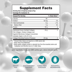 NaturesPlus Collagen Peptides chocolate powder dissolving easily in liquids.