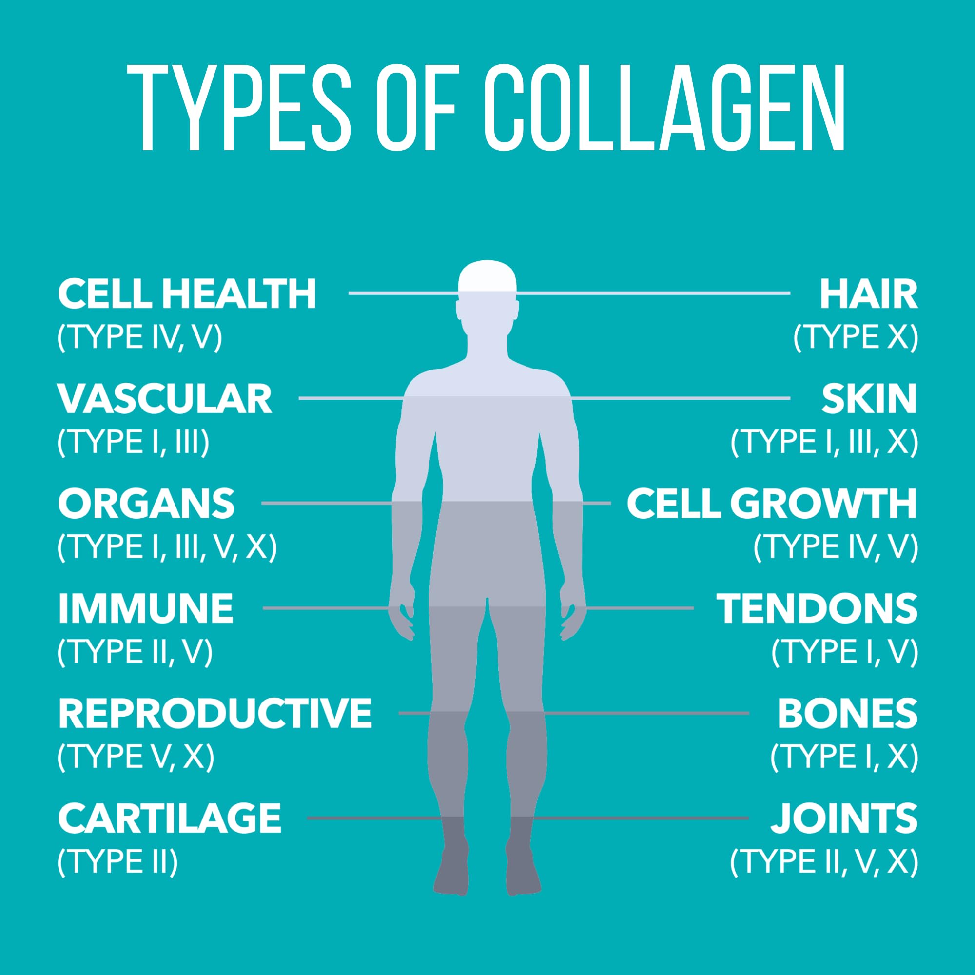 NaturesPlus Collagen Peptides chocolate packaging for skin glow benefits.