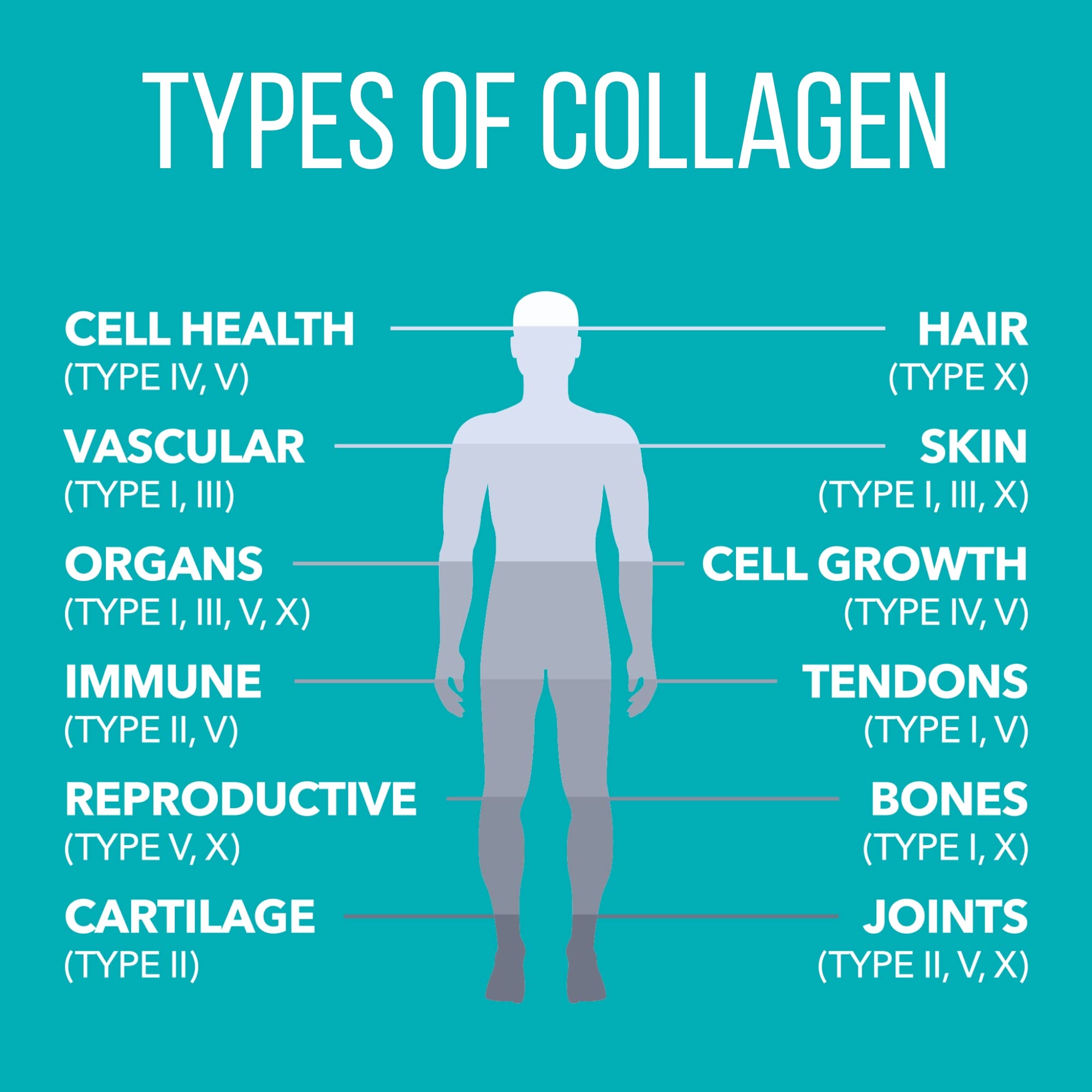 Collagen Peptides mixed into beverages for versatile daily use.