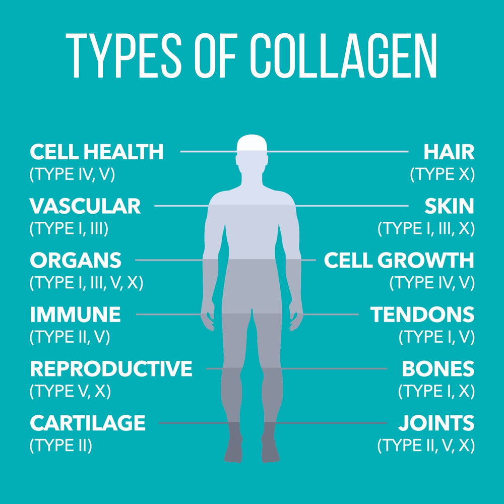 Collagen Peptides mixed into beverages for versatile daily use.