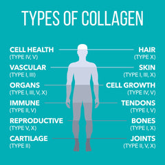 Collagen Peptides mixed into beverages for versatile daily use.