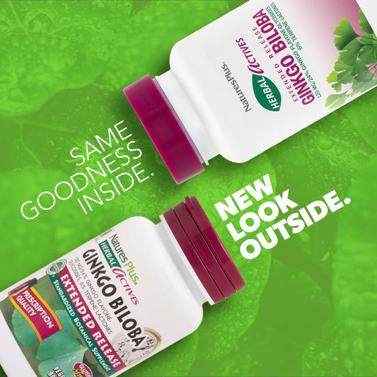 Close-up of extended-release coating on Ginkgo Biloba tablet for steady absorption