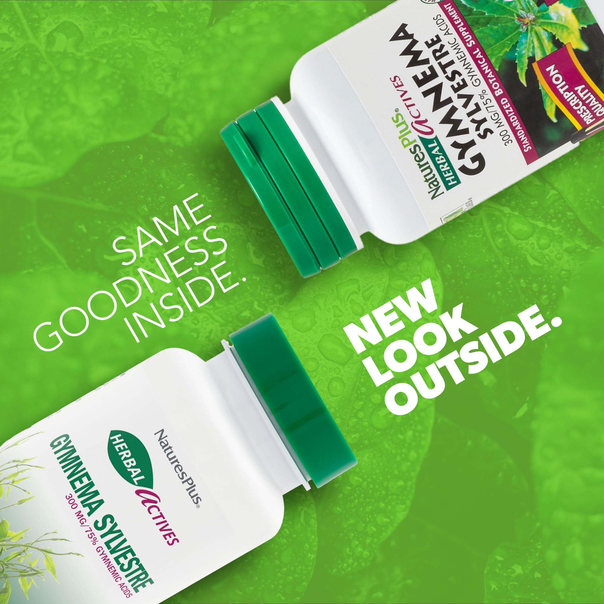 Close-up of Gymnema Sylvestre capsules highlighting 300 mg potency