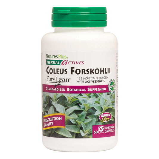 NaturesPlus Herbal Actives Coleus Forskohlii bottle showing high potency for daily use